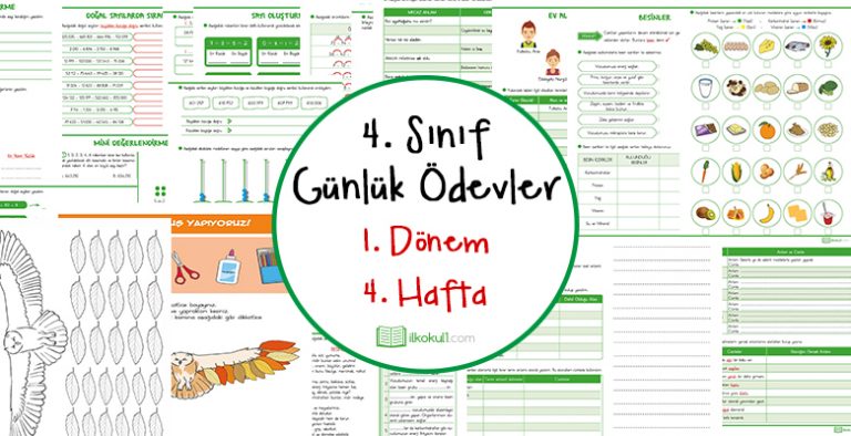 3 Sinif Gunluk Odevler 1 Donem 4 Hafta