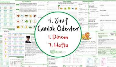 4 Sinif Noktalama Isaretleri Sinif Ogretmenleri Icin Ucretsiz