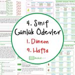 4. Sınıf Günlük Ödevler 1. Dönem 9. Hafta