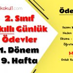 2. Sınıf Günlük Ödevler 1. Dönem 9. Hafta