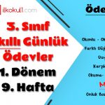 3. Sınıf Günlük Ödevler 1. Dönem 9. Hafta