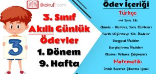 3. Sınıf Günlük Ödevler 1. Dönem 9. Hafta