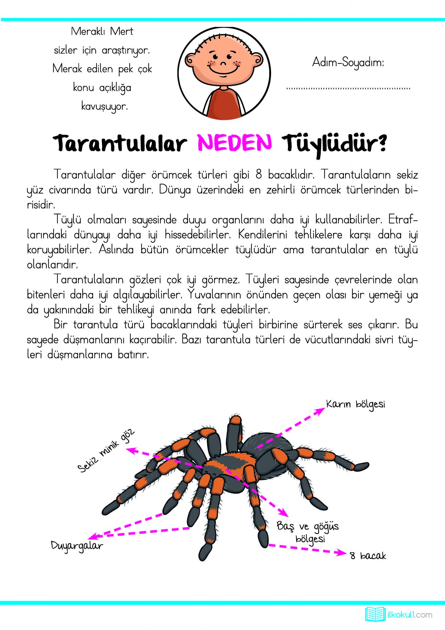 3. Sınıf Günlük Ödevler 2. Dönem 8. Hafta – Sınıf Öğretmenleri İçin ...