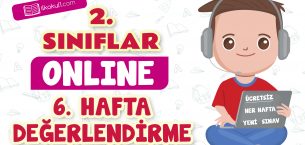 2. Sınıflar -6. Hafta Genel Değerlendirme Testi-