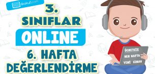 3. Sınıflar -6. Hafta Değerlendirme Testi-