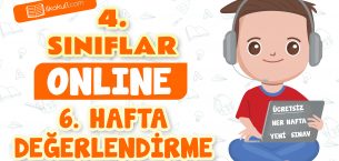 4. Sınıflar -6. Hafta Değerlendirme Testi-