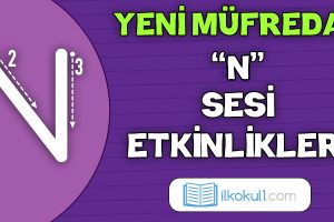 2024-2025 Yeni Müfredat -N Sesi Etkinlikleri-