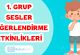 1. GRUP SESLER DEĞERLENDİRME (a-n-e-t-i-l)